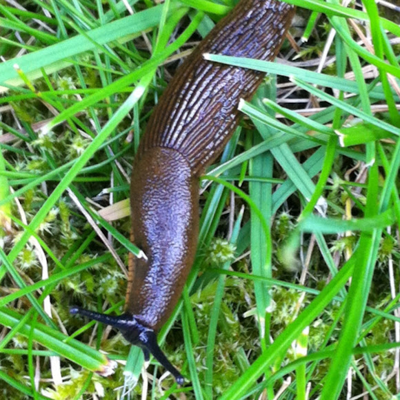 Spotting Image 1