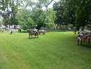 Wood Cows in the Park