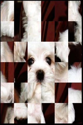 免費下載休閒APP|かわいい犬のパズルA2 app開箱文|APP開箱王