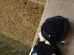 dsc01040.jpg