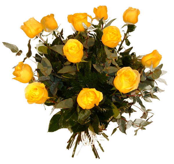 jardim rosas amarelas:Esse buquê de rosas amarelas não causa um impácto em que o recebe? jardim rosas amarelas:Esse buquê de rosas amarelas não causa um impácto em que o recebe?