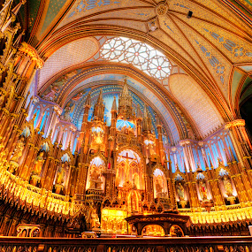 Up There Somewhere ... by Luc Belisle - Buildings & Architecture Other Interior ( notredame )