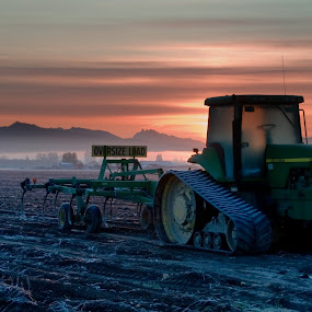 by Kirsten Morse - Landscapes Prairies, Meadows & Fields