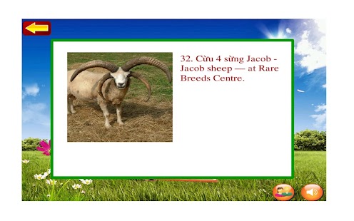 How to install Thiên Nhiên Kỳ Thú Free patch 1.0 apk for android