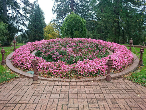 The Floral Clock