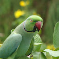 Tamil Nadu Biodiversity