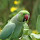 Tamil Nadu Biodiversity