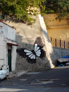 Murales Farfalla