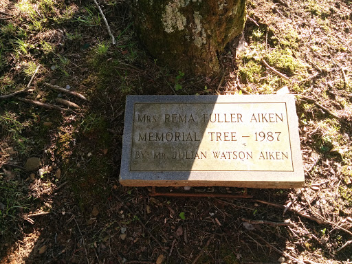 Mrs. Rema Fuller Aiken Memorial Tree 