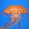 PC060979.JPG
