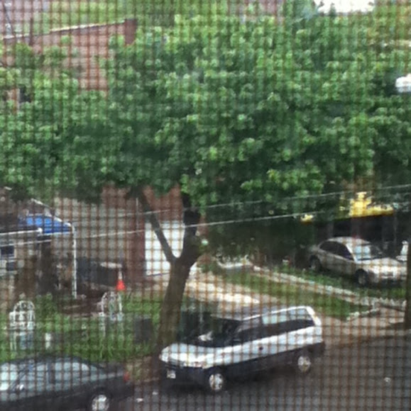 Spotting Image 1