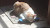 User profile picture thumbnail