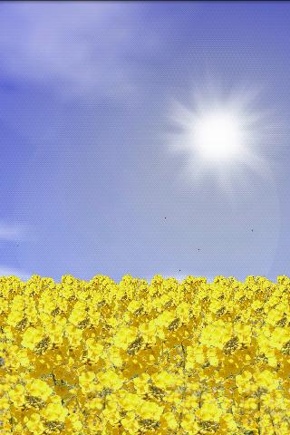 Yellow Field Free