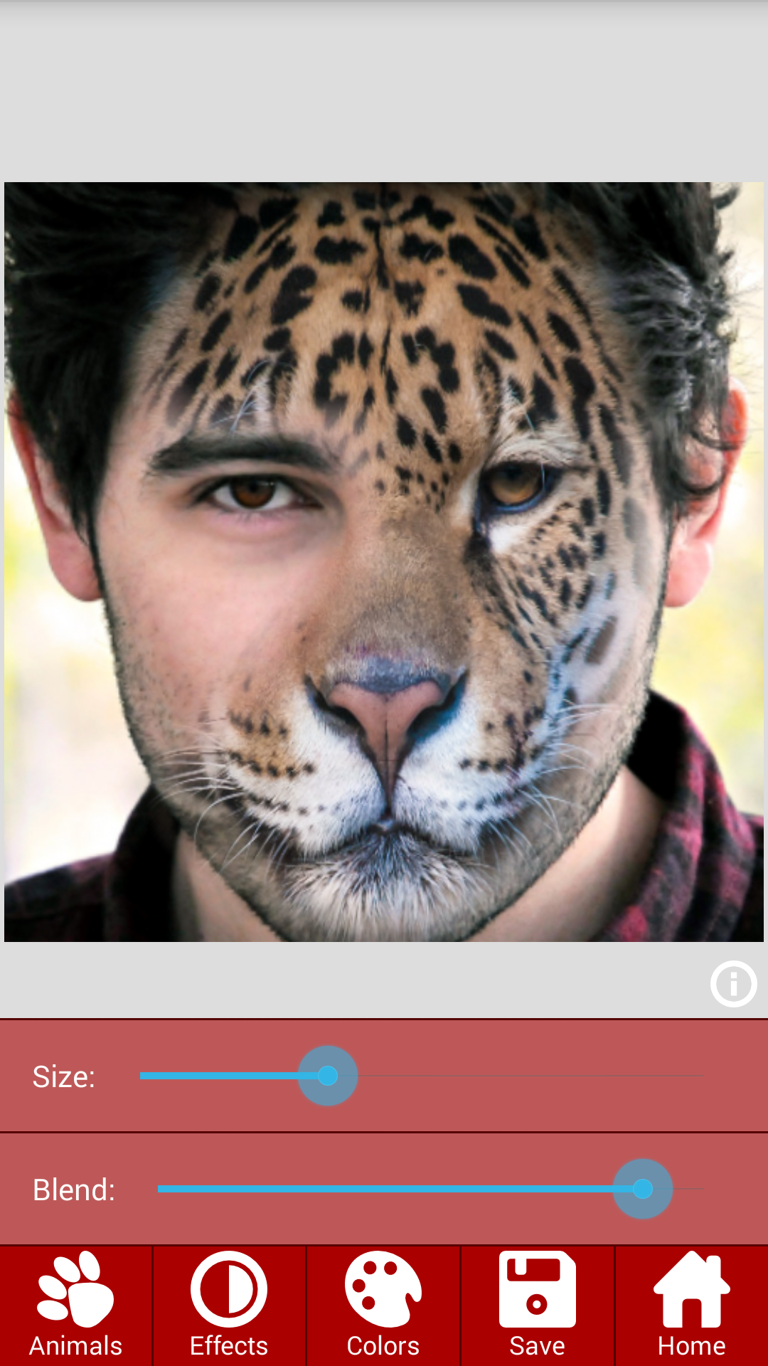 Android application Animal Faces - Face Morphing screenshort