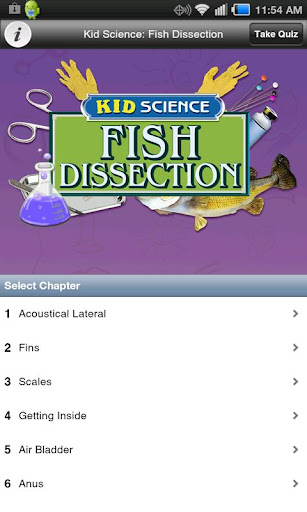 Kid Science: Fish Dissection