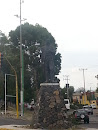 Morelos De Tepalcapa