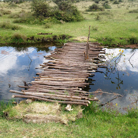 by Yasmin Kader - Buildings & Architecture Bridges & Suspended Structures