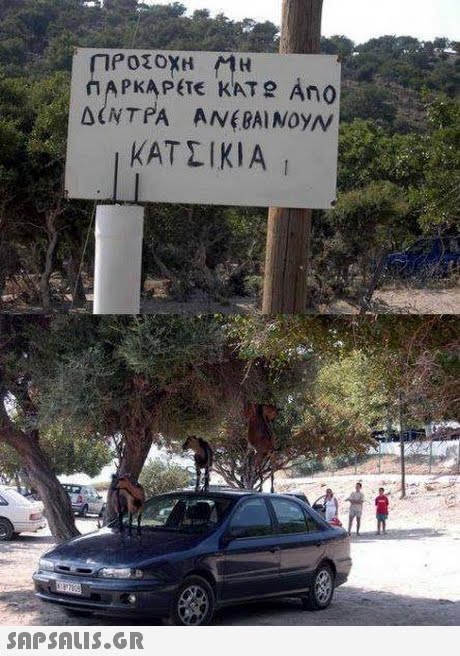 APKAPETE KATe Ano ΚΑΤΣΙΚΙΑ 