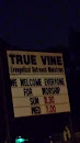 True Vine Church 