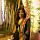 TaniaChakraborty
