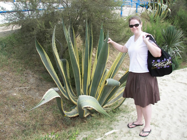 [100_3779[6].jpg]