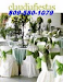 Claudia Fiestas Organiza Y Decora Tus Eventos