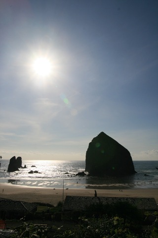 [IMG_41324.jpg]