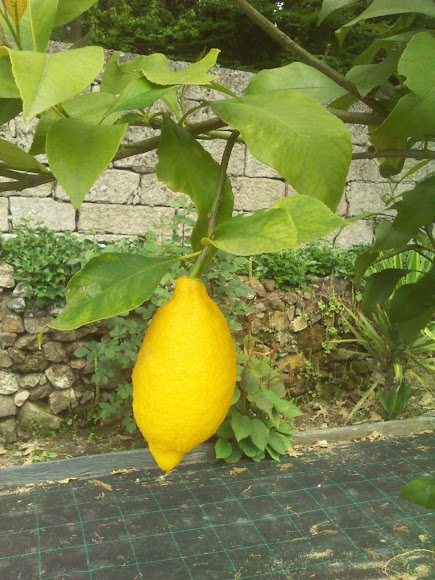 Spotting Image 1