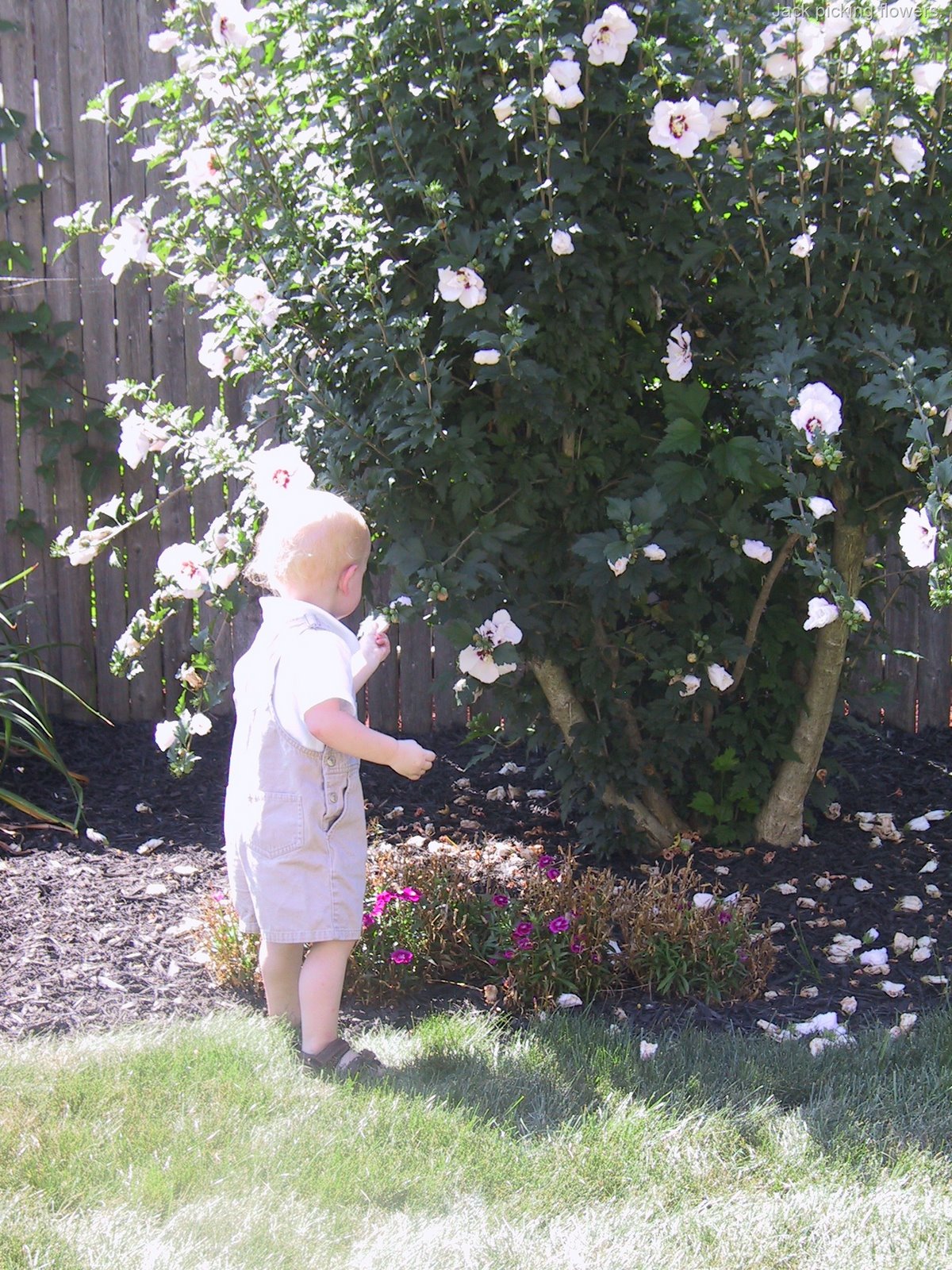 [IMG_9110[11].jpg]