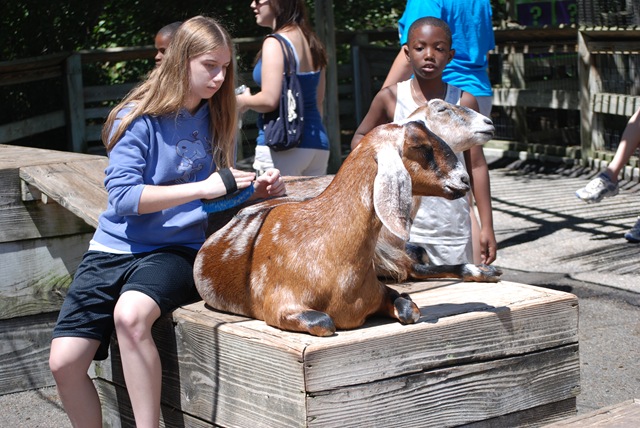 [2008 August Indy Zoo 073[2].jpg]