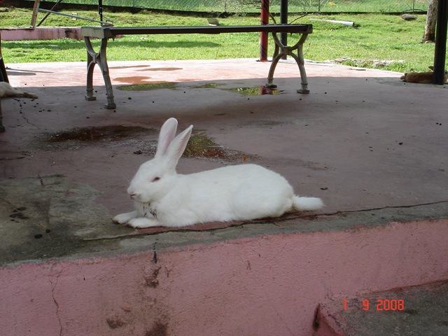 [DSC043653.jpg]