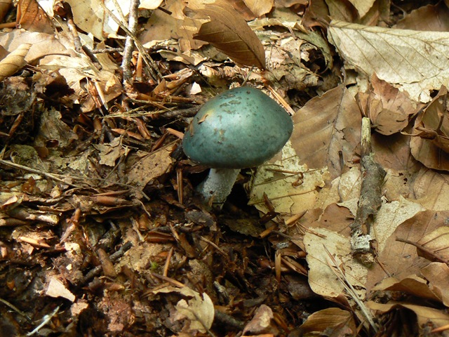 [P1090958[6].jpg]