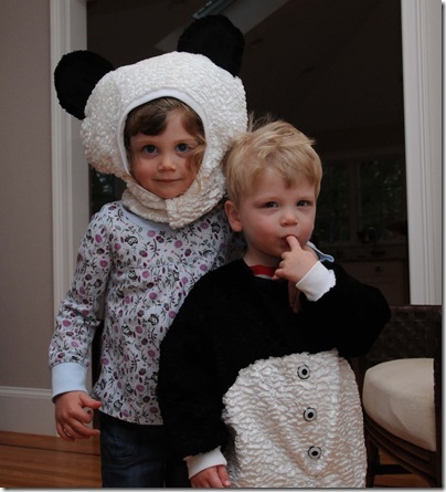 panda_kids