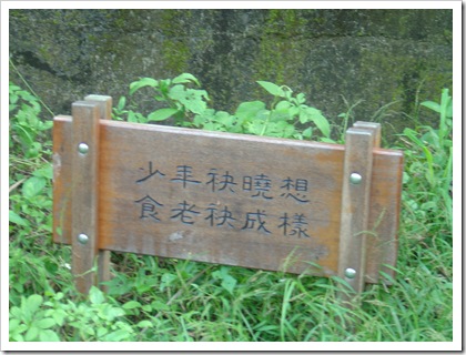 DSC07544