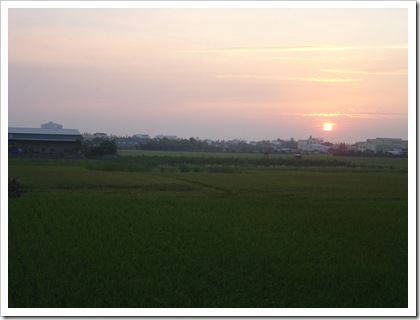 DSC07567