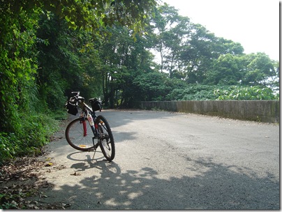 DSC07506