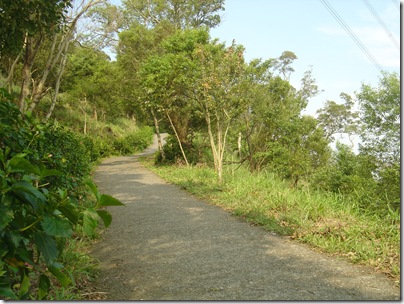 DSC07511