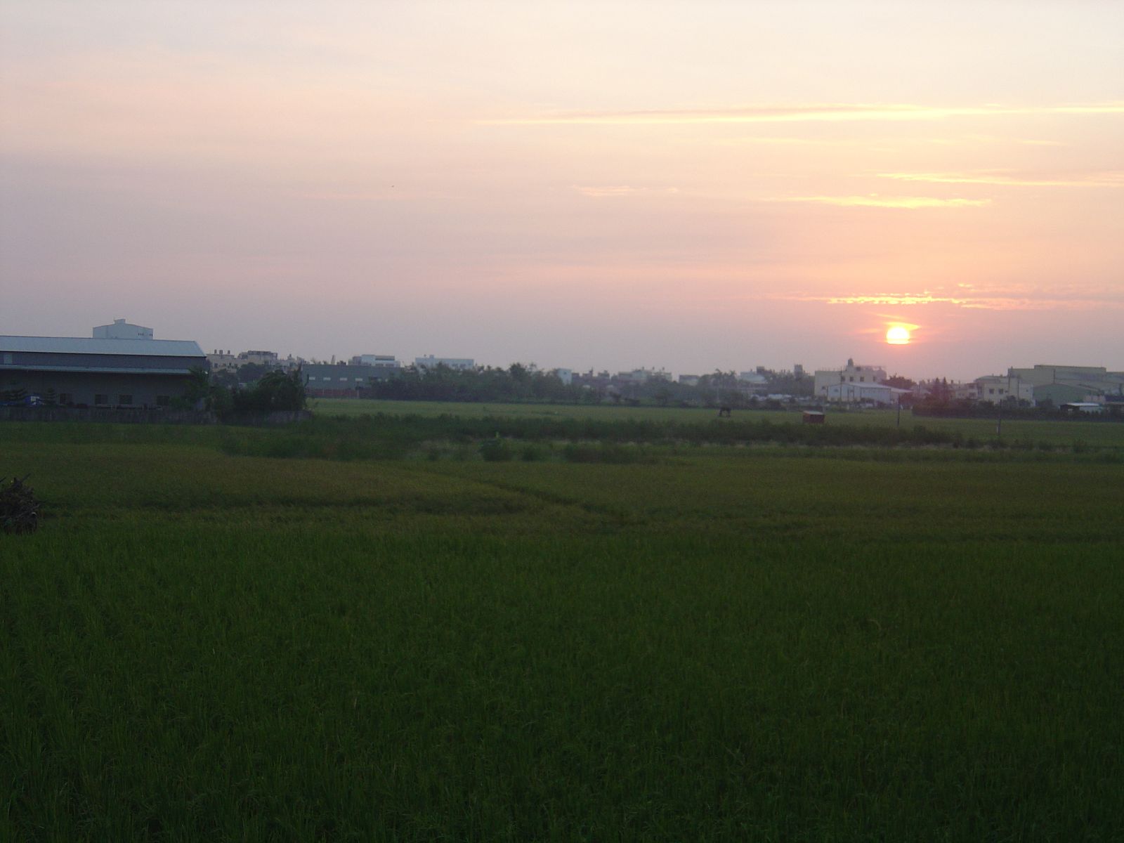 [DSC07567.jpg]