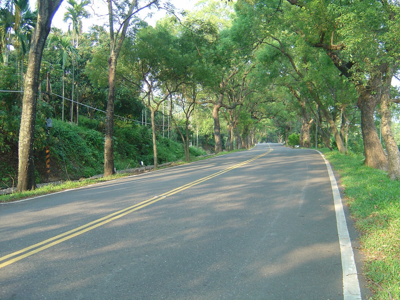 [DSC07524.jpg]