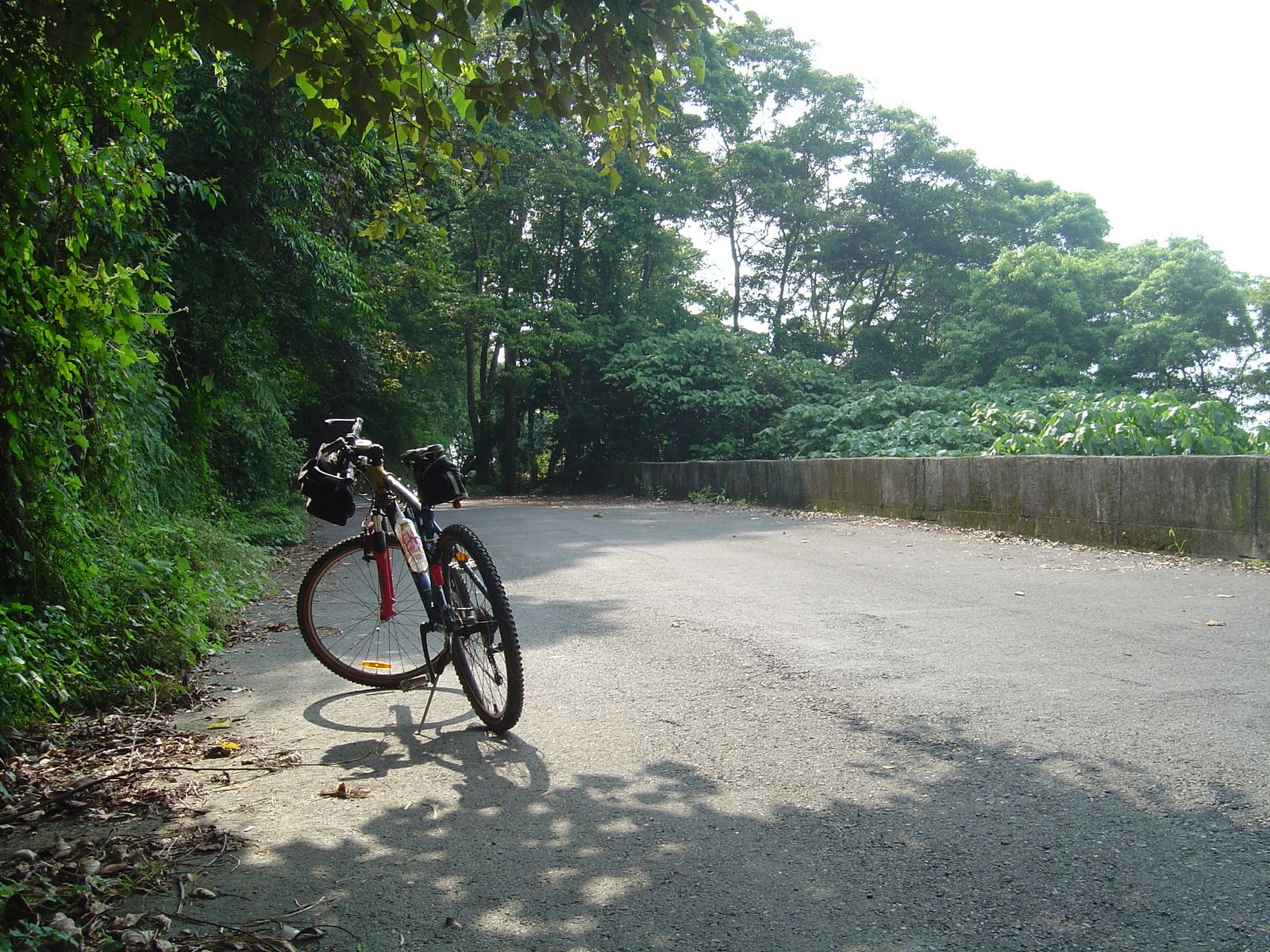 [DSC07506.jpg]