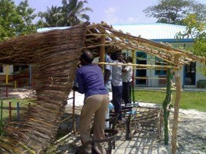 [IMG_1199_300x300[3].jpg]