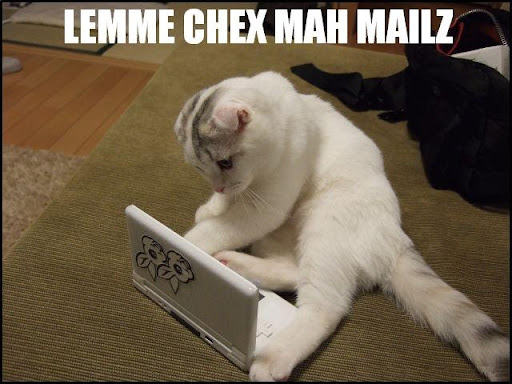 let%20me%20check%20my%20emails%20lolcat%5B4%5D.jpg