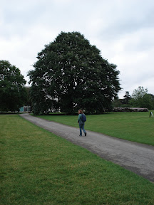 DSC01830.JPG