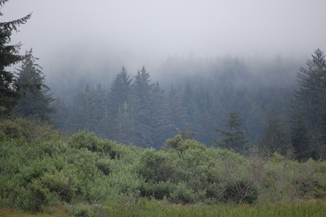 [August 2007 318[2].jpg]