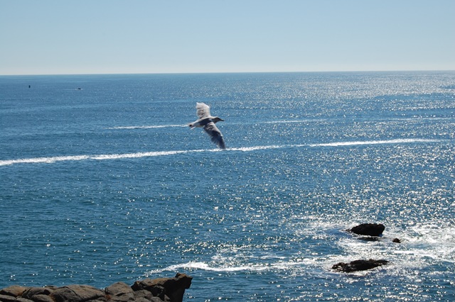 [August 2007 530[2].jpg]