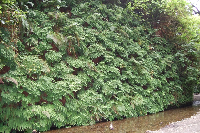 [August 2007 551[2].jpg]