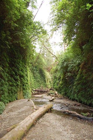 [August 2007 555[2].jpg]