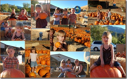 Clayton Pumpkin Patch1