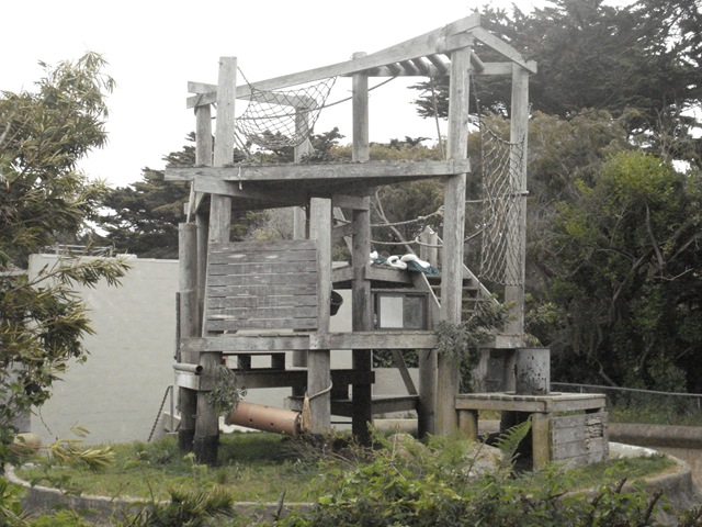 [DSC04966[2].jpg]