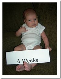 6 wks 049